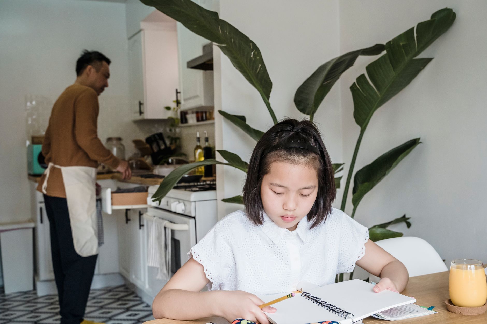 Photo by Annushka Ahuja on Pexels — rebuild homework habits